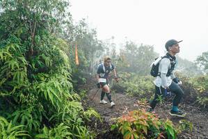 BIB: 
                            <button type="button" onclick="openModal(26272007)" class="btn btn-primary btn-sm float-right btn-popup" data-toggle="modal" data-target=".modal-high-quality">
                        <i class="fas fa-shopping-cart"></i> Add to Cart
                    </button>
                                            <button type="button" onclick="isThisMe(26272007, true)" class="btn btn-success btn-sm float-right btn-popup btn-isme hidden" data-toggle="tooltip" data-placement="bottom" title="นี่คือรูปของคุณใช่ไหม คลิกที่นี่เพื่อเอาเข้าอัลบั้ม">
                        <i class="fas fa-plus"></i> Add to album
                    </button>
                    <button type="button" onclick="isThisMe(26272007, false)" class="btn btn-warning btn-sm float-right btn-popup btn-isnotme hidden">
                        <i class="fas fa-ban"></i> Remove from album
                    </button>